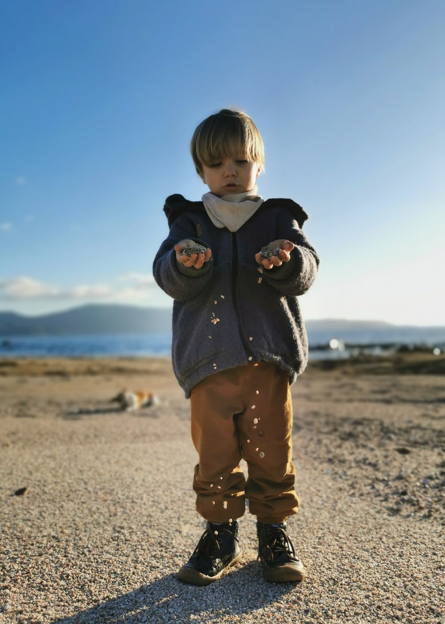 Wollwalkjacke gefüttert mit Bio Baumwollfleece